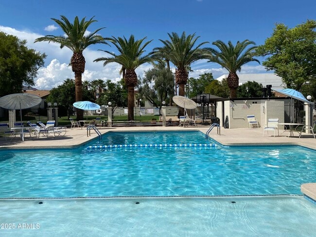 Building Photo - 6721 E McDowell Rd