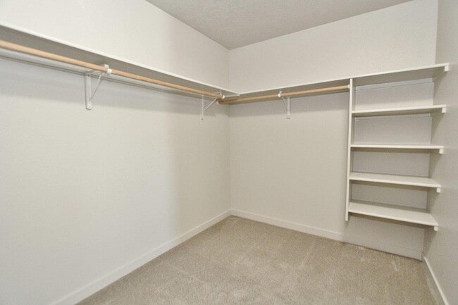 Building Photo - Immaculate Single-Level Home