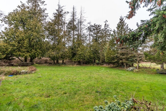 Building Photo - 4 Bedroom House in Coupeville