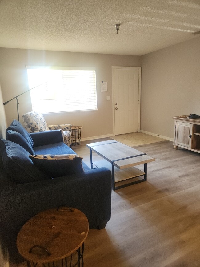 Furnished living room option - 10265 Gandy Blvd N