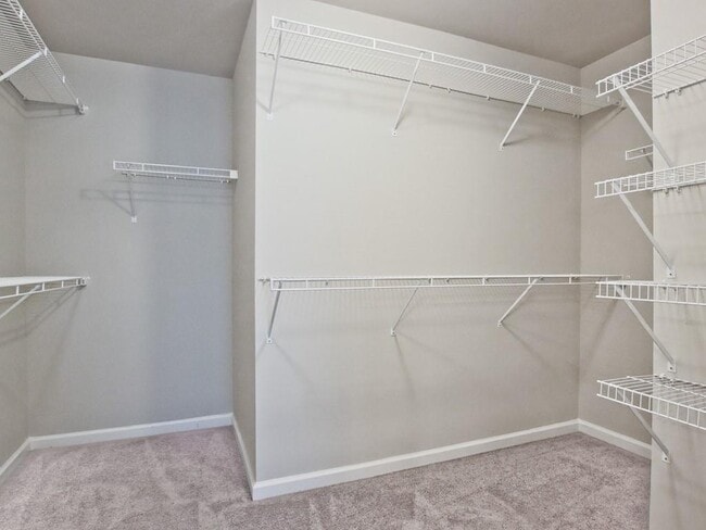Building Photo - 3166 Cross Creek Dr