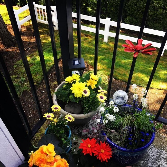 Building Photo - Luxury Condo