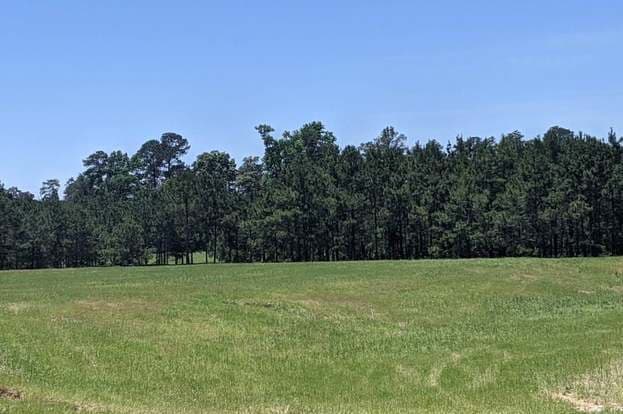 Building Photo - 1117 Cedar Trace Pl