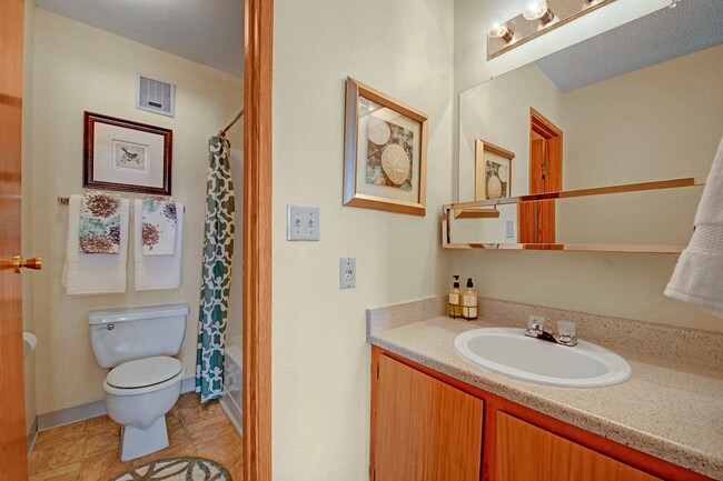 Grand View Bathroom With Shower Curtain - Grand View