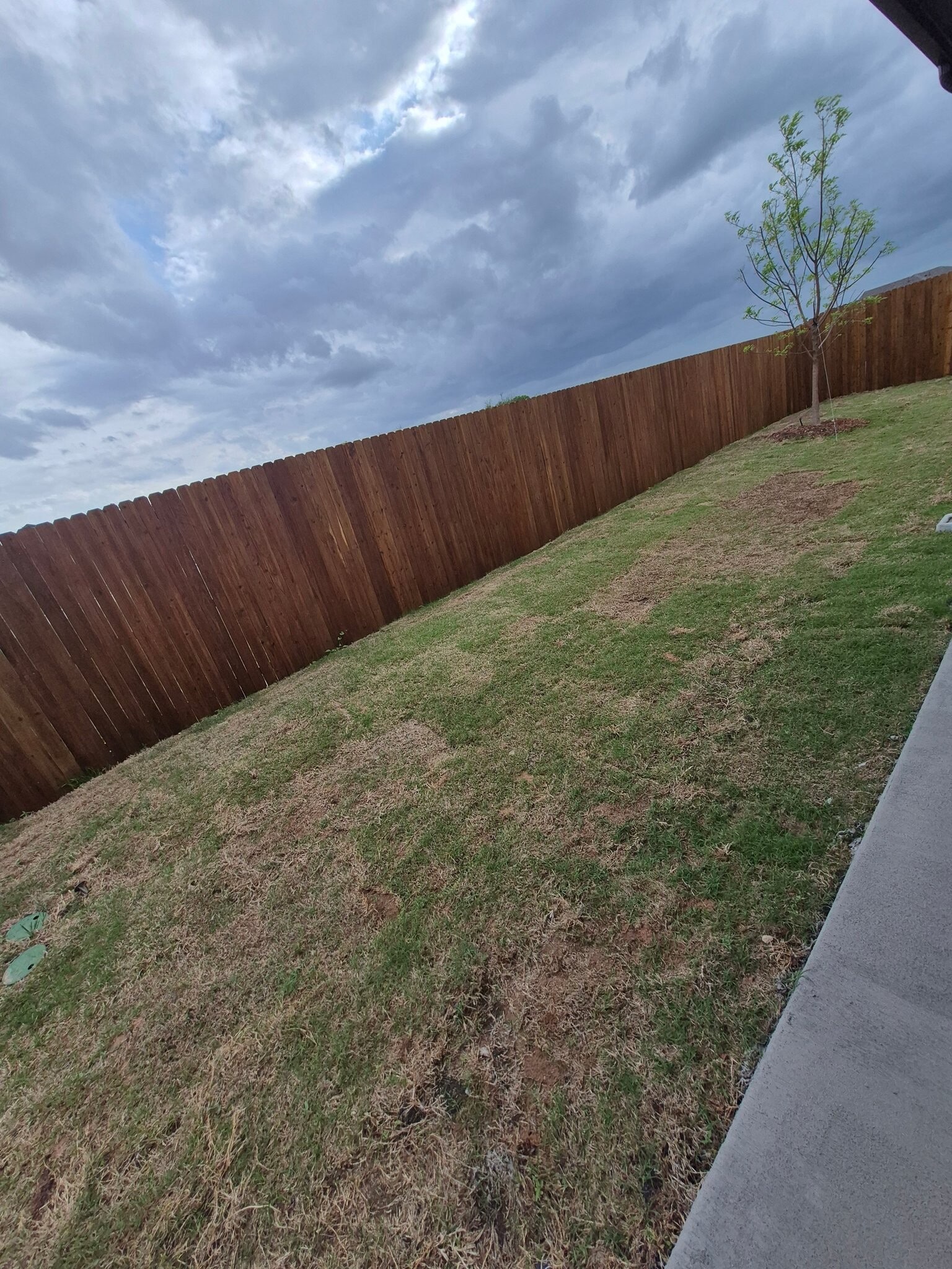 Building Photo - 3041 Hollybrook Ln