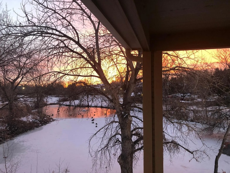 Building Photo - 1225 W Prospect Rd