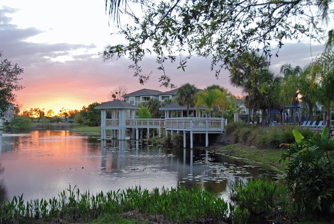 Building Photo - Palm Cove Apartments