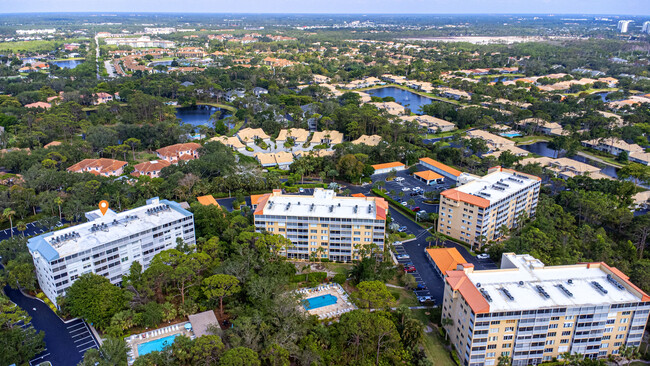 Ariel view - 290 Naples Cove Dr