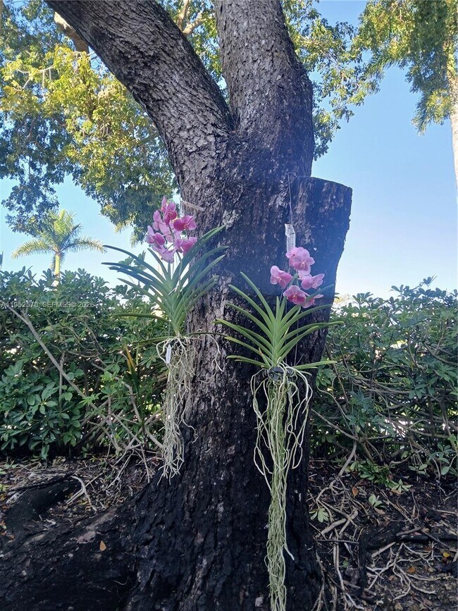 Building Photo - 3618 San Simeon Cir