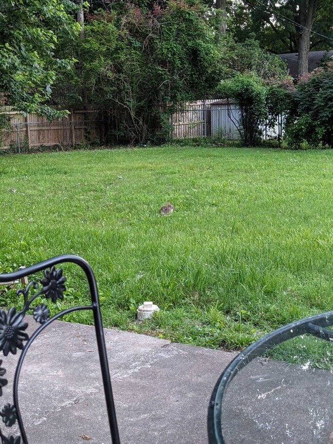 Building Photo - 5230 S Columbia Ave