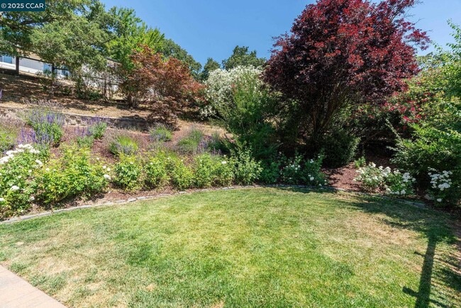 Building Photo - 3555 Old Mountain View Dr
