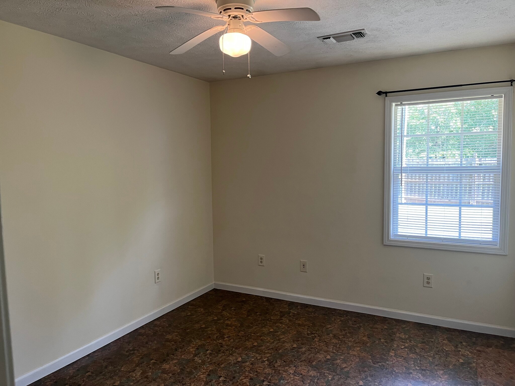 Back bedroom has walk-in closet - 15 Cottage Ln