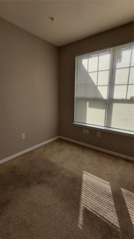 Building Photo - 2000 Erving Cir