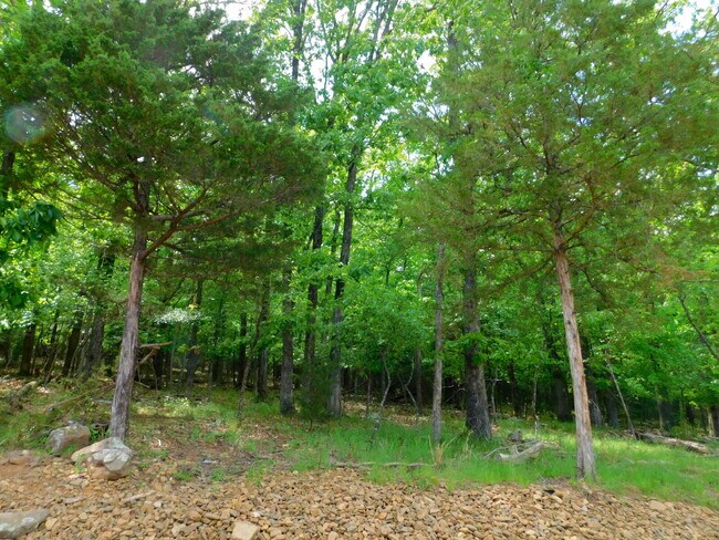 Building Photo - Charming 2-Bedroom Townhouse Retreat with 2.5 Baths in Fayetteville’s Rolling Woods - 1252 Sq Ft ...