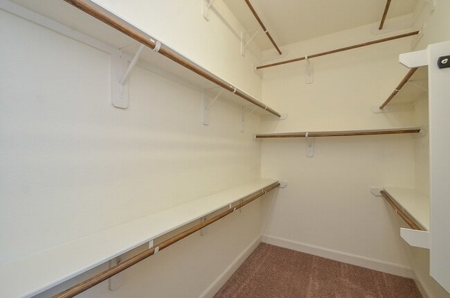 Building Photo - 28723 Primrose Bluff Dr