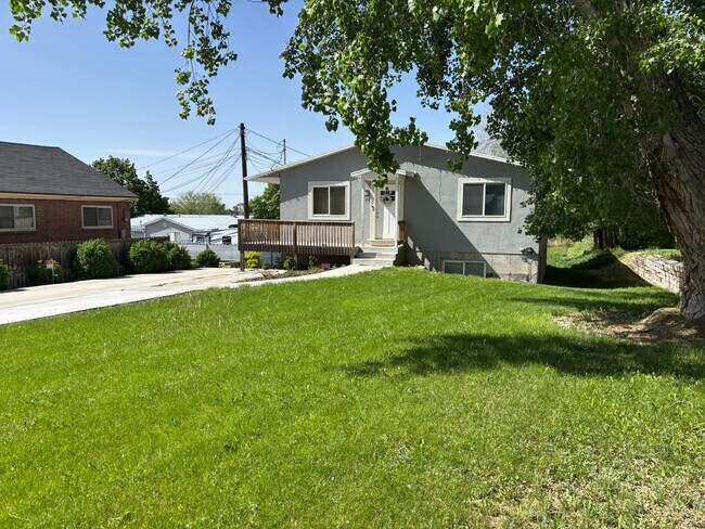 Primary Photo - TFH 541 East