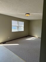 Building Photo - 2207 Roma Ln