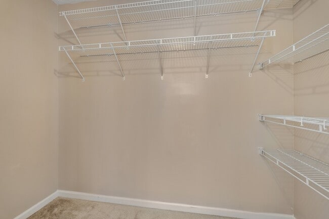 Building Photo - 3324 Cain Harbor Dr