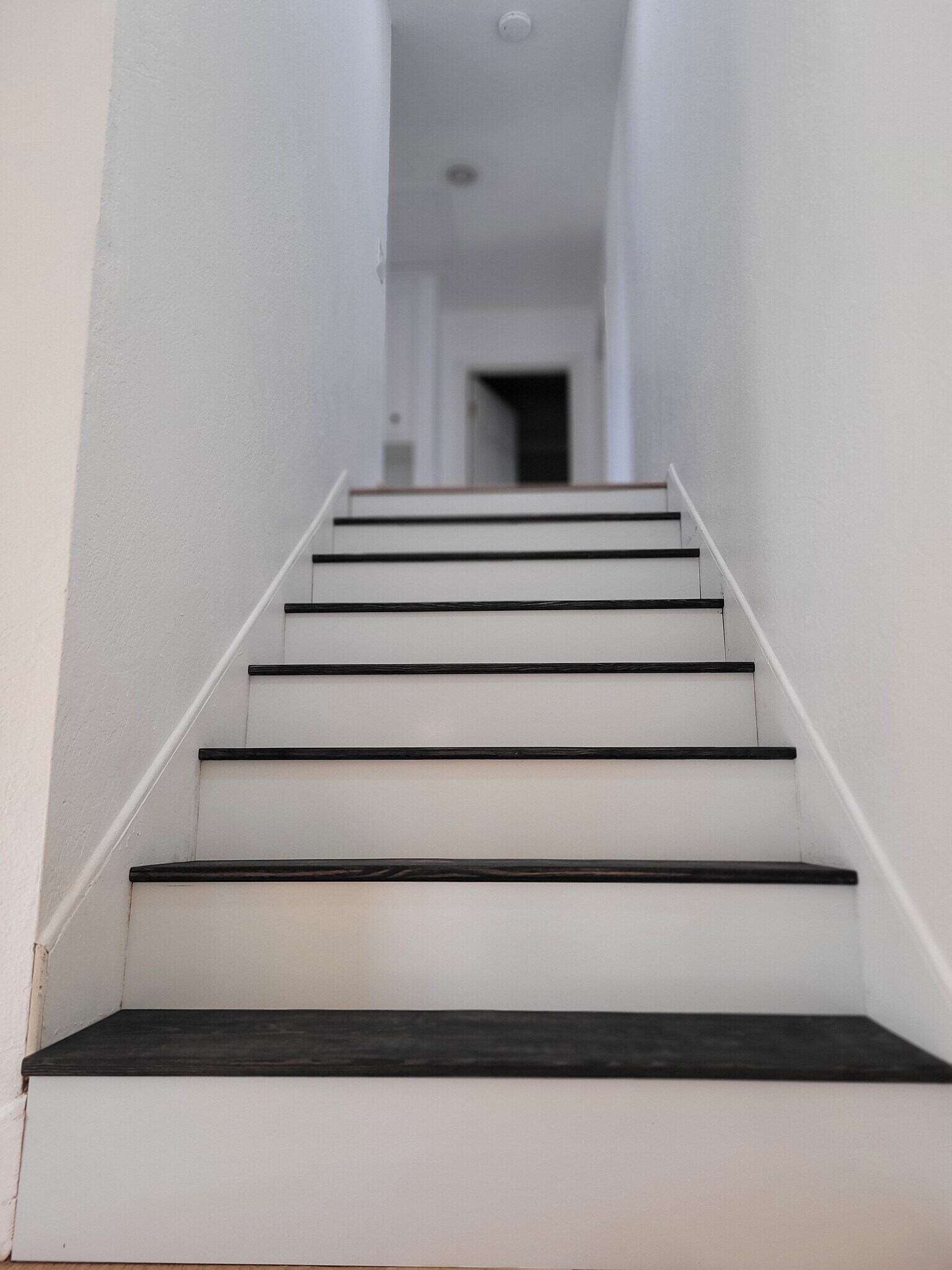 Building Photo - 1930 Adrian St