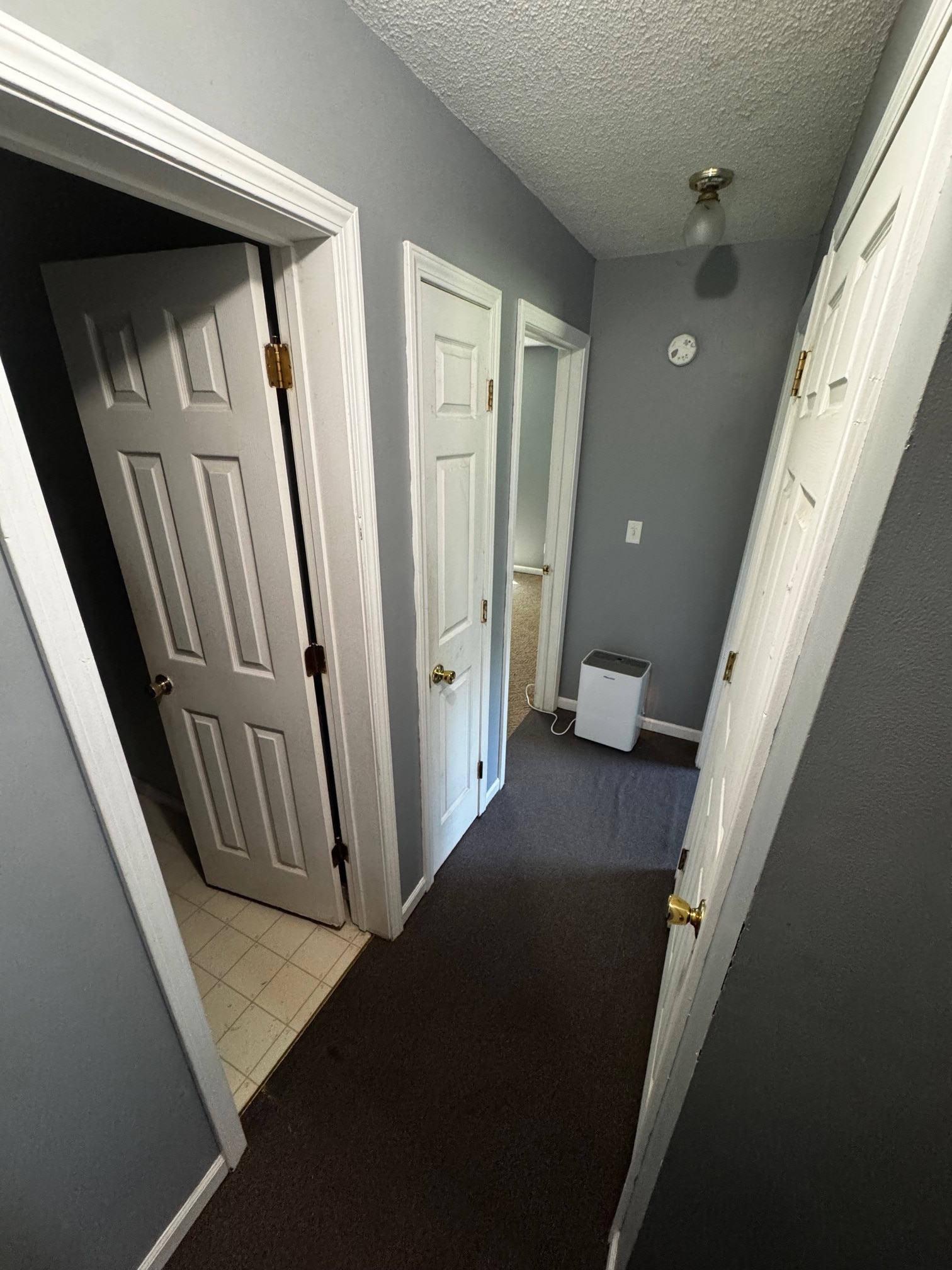 HALLWAY - 142 Skyline Dr