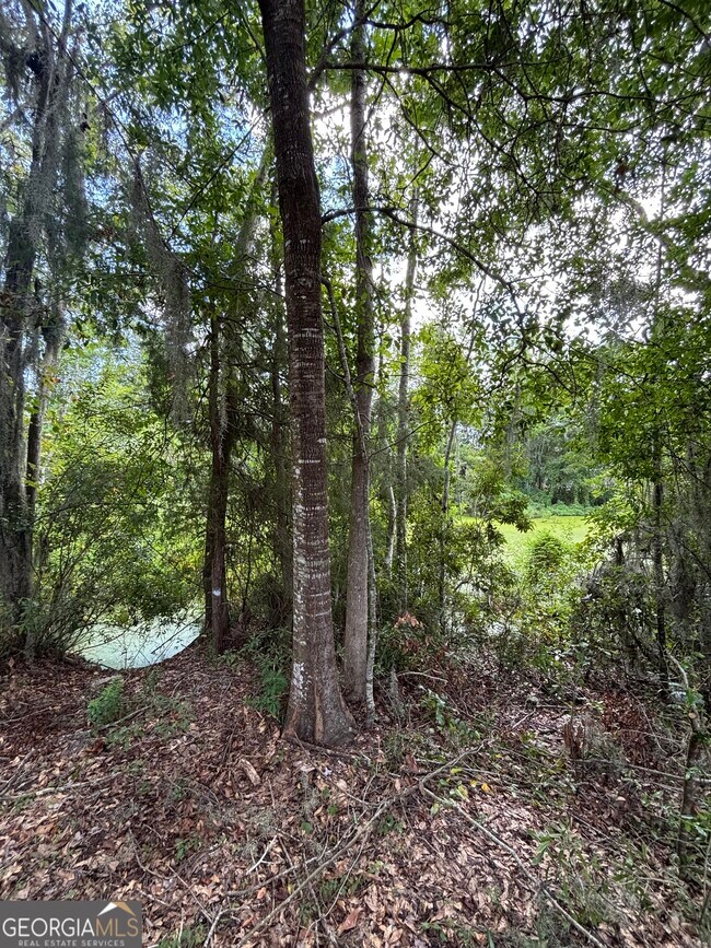 Building Photo - 207 Admiral's Walk Dr