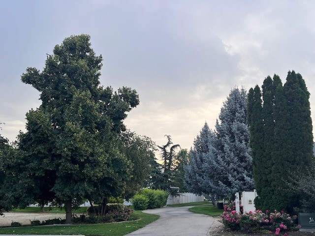 Building Photo - 5435 N Vercelli Way