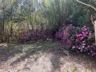 Building Photo - 678 Ivy St