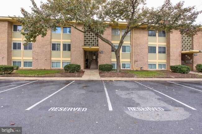 Building Photo - 7103 Donnell Pl
