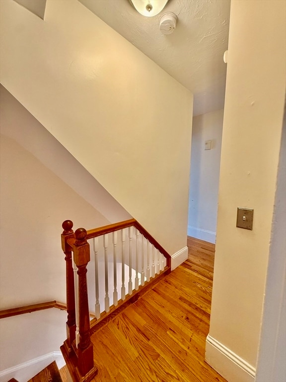 Building Photo - 81 South St