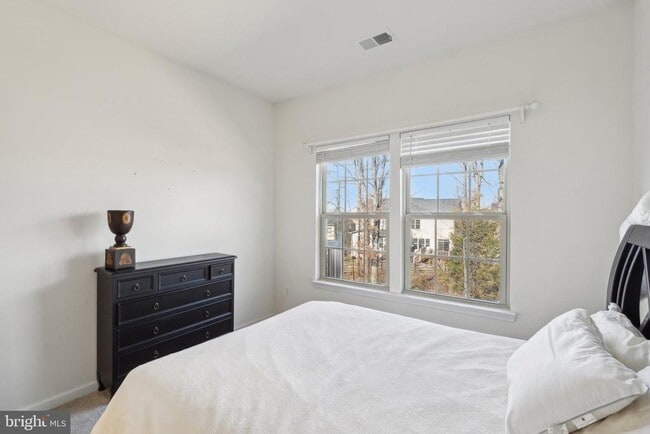 Building Photo - 42116 Piebald Square