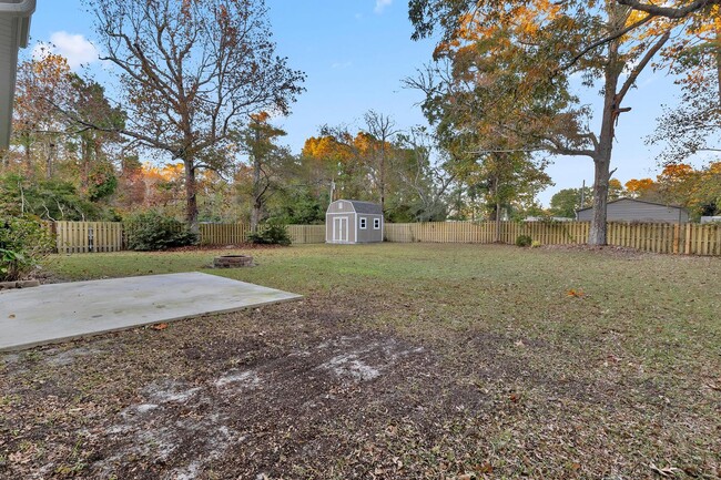 Building Photo - Beautiful 3 Bedroom with bonus in Sneads F...