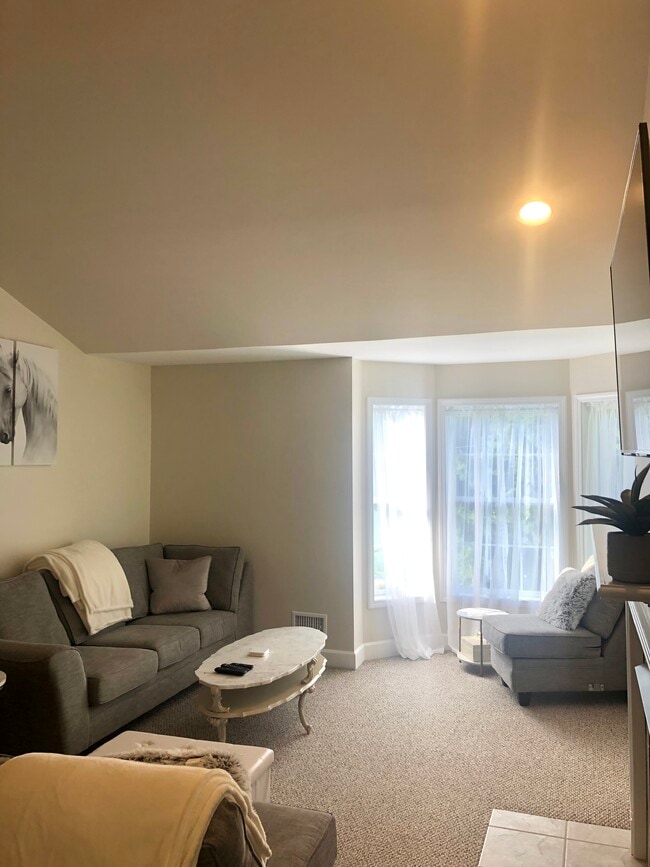 Living/Entry - 14 Dyer Switch Rd