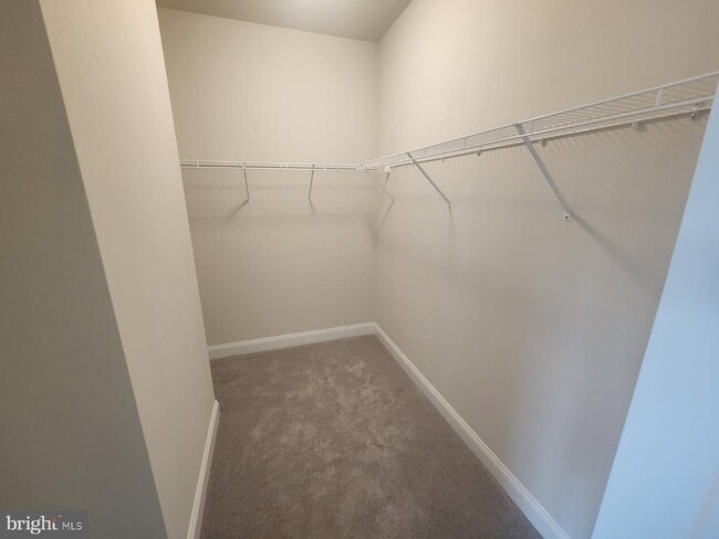 Building Photo - 328 Foxtail Ln