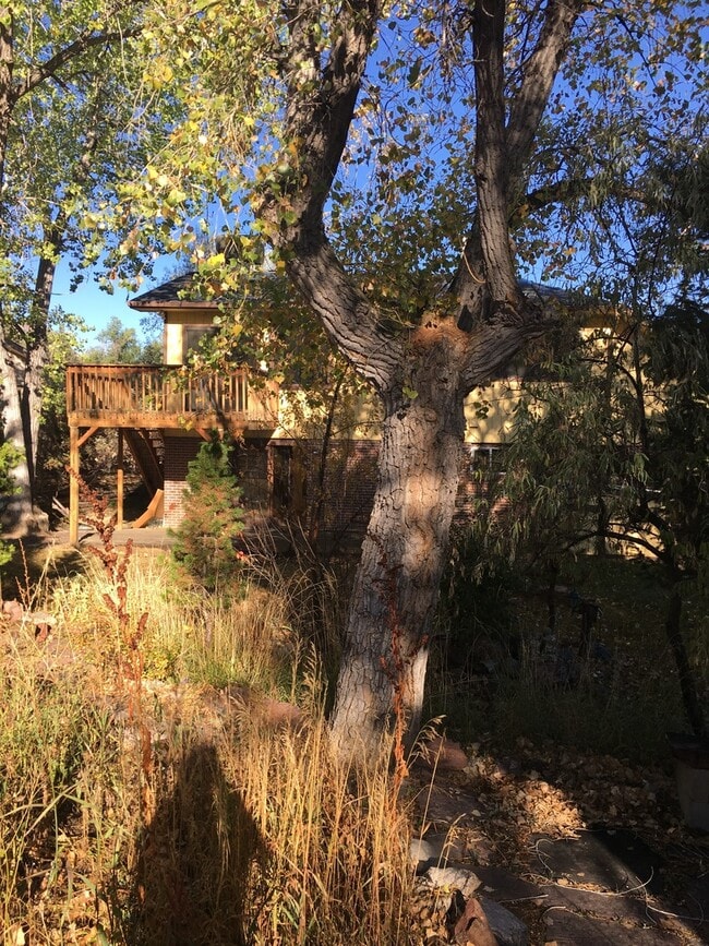 Building Photo - Lovely S. Boulder 5BD House on Open Space - Available June 1st!