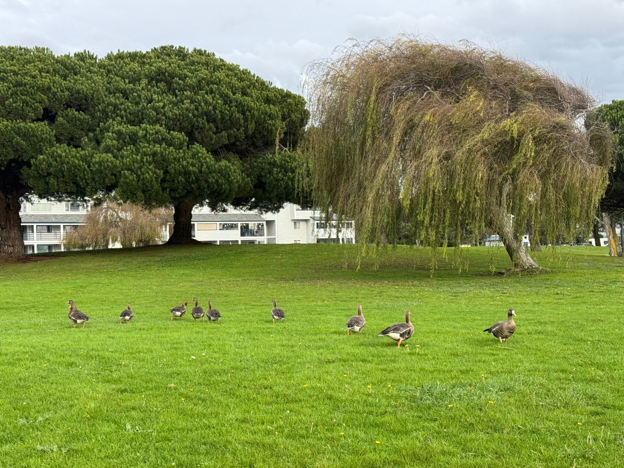 Building Photo - 2502 Jetty Dr