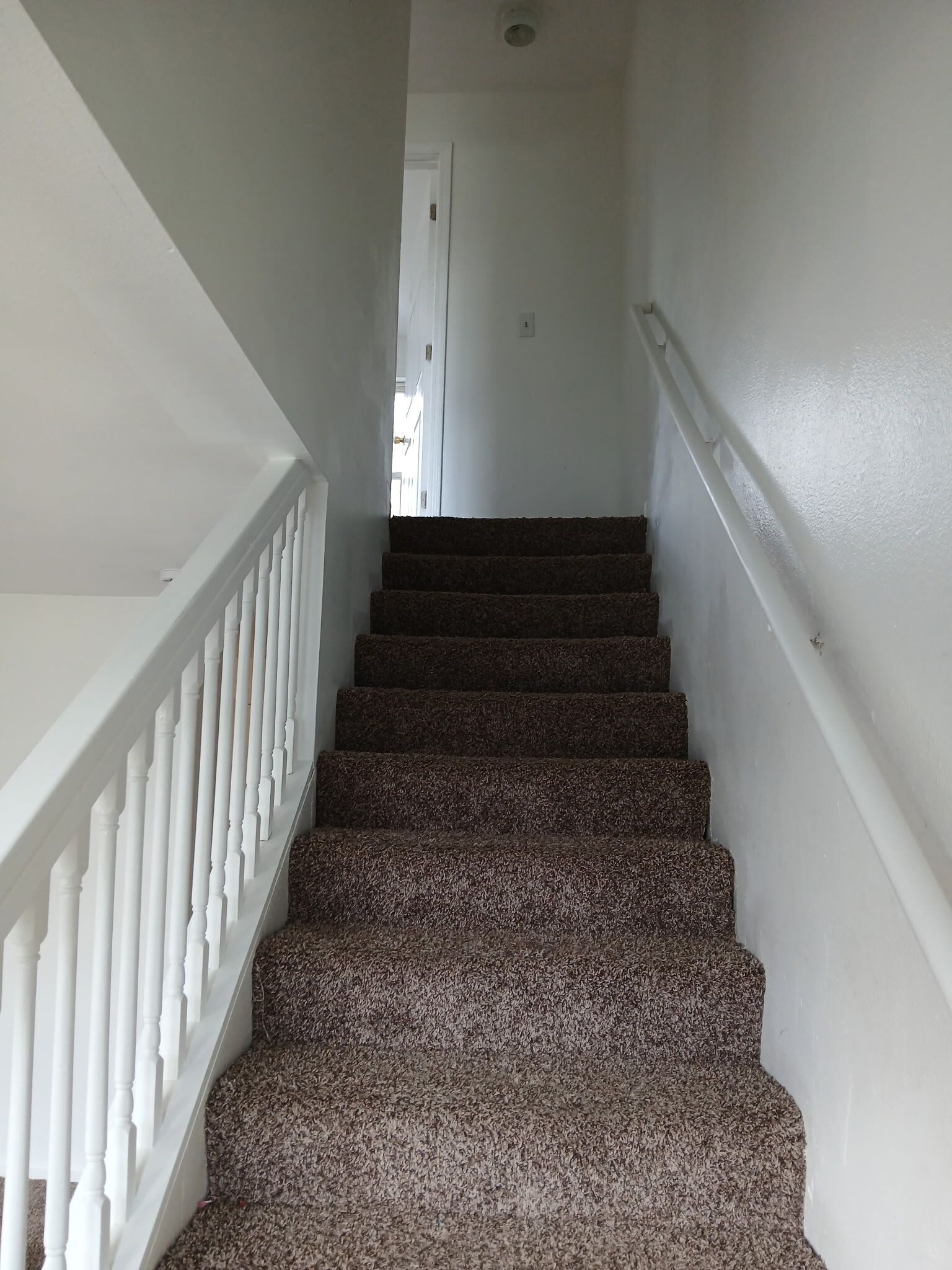 Building Photo - 501 Nova St