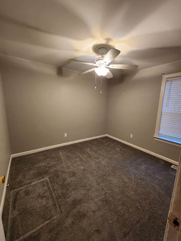 Building Photo - 5 Box Turtle Ct