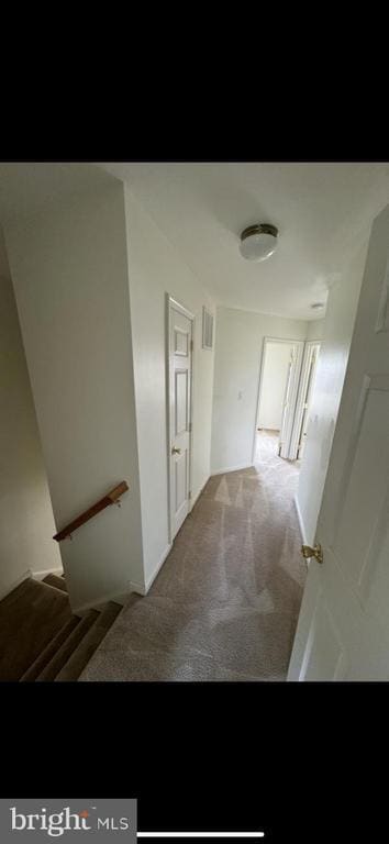 Building Photo - 480 Thumper Dr