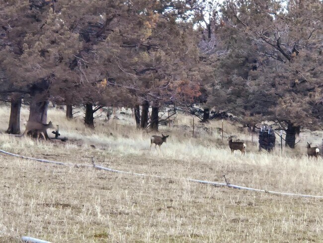 Building Photo - 23131 N Poe Valley Rd