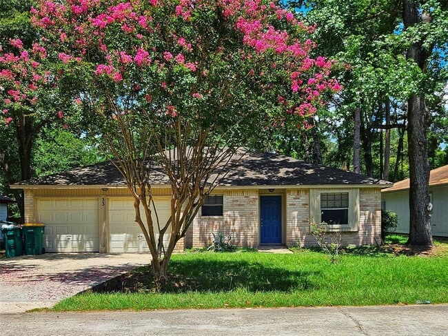 Primary Photo - 33 N Wavy Oak Cir