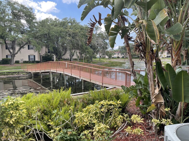 Boardwalk Bridge - 10356 Carrollwood Ln