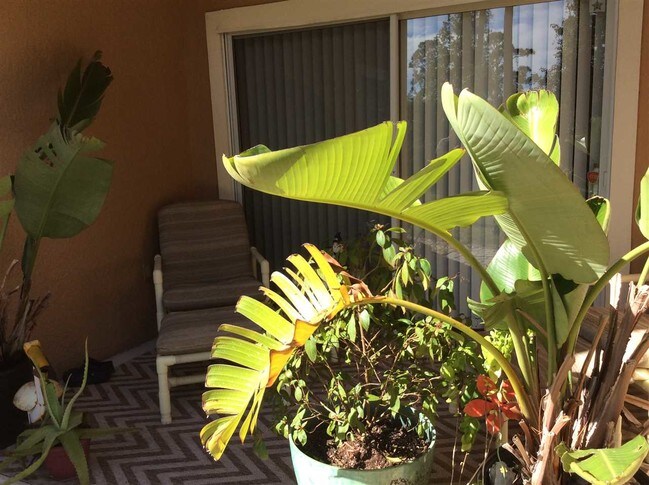 Building Photo - 550 Florida Club Blvd