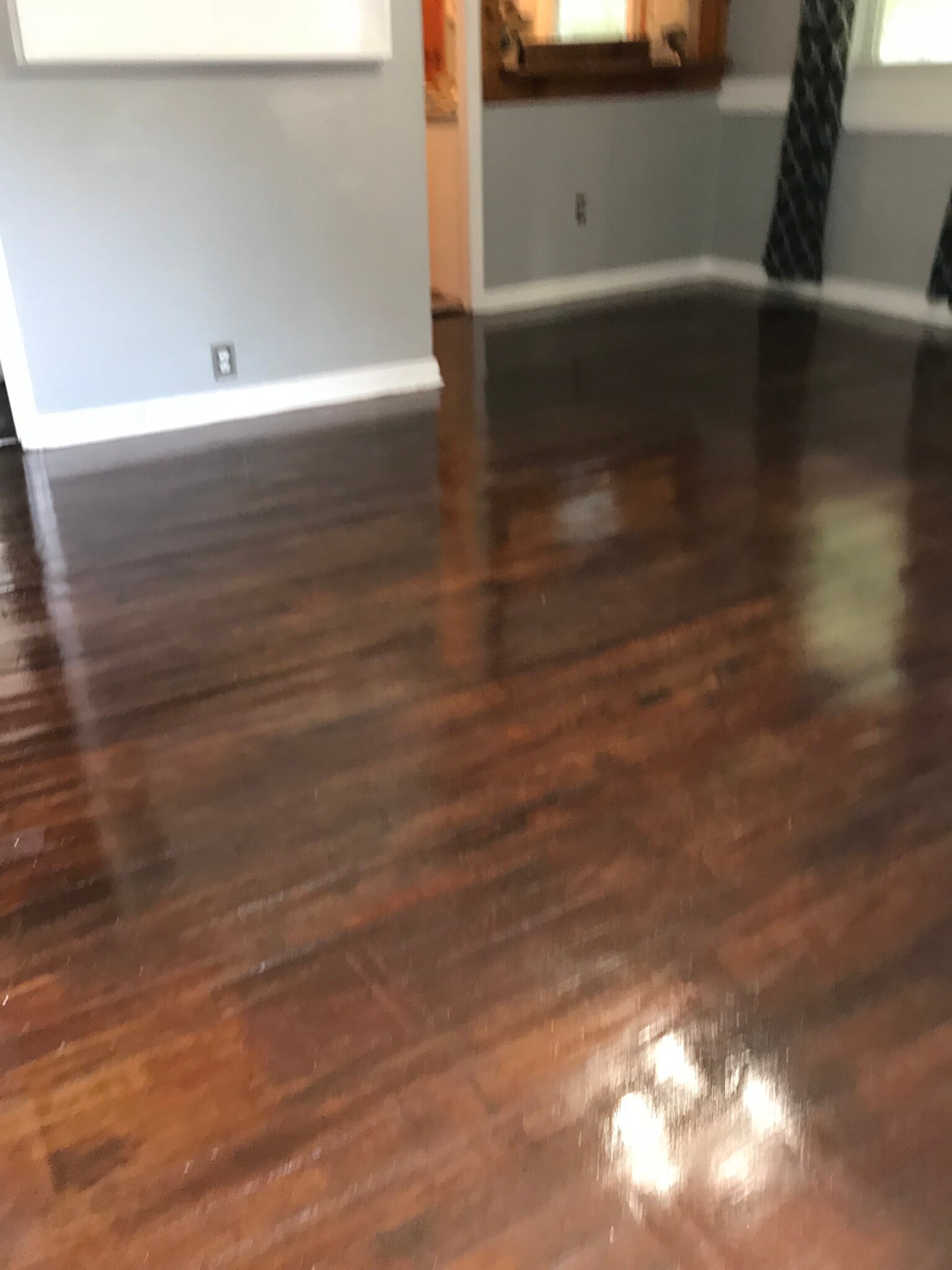 Original red oak floors recently refinished - 1407 W Church St