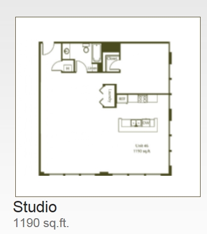 Green Unit 46 - Eleventh Street Lofts