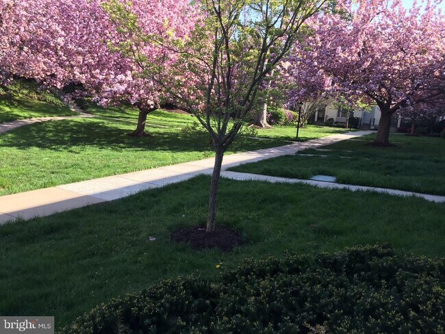 Building Photo - 4920 Bradley Blvd