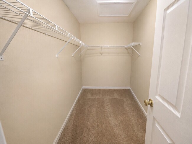Building Photo - 388 Toccoa Ln