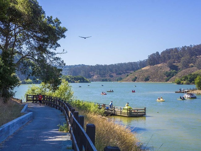 Lake Chabot Fabulous Park 14 Minutes Away - 25651 Palomares Rd