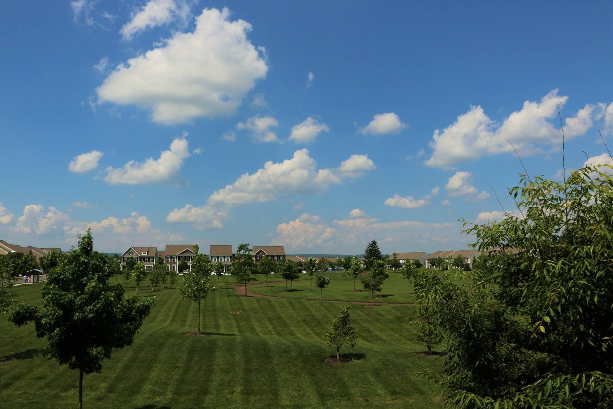 View From Master Bedroom - 2B Ellington Road