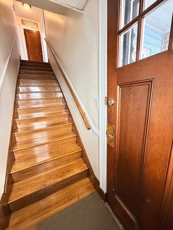 Building Photo - 48 Rosewood St