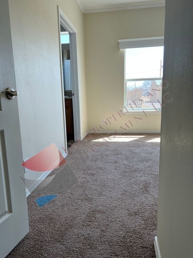 Building Photo - HCB-1116 & 1118 Alamosa Avenue